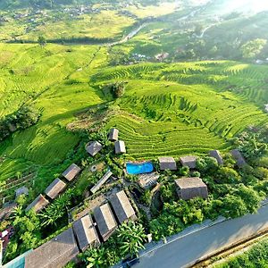Eco Palms House - Sapa Retreat